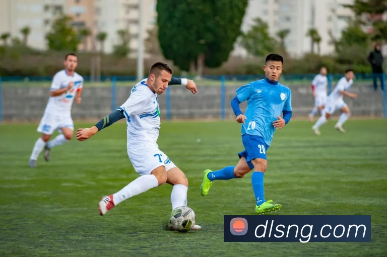 开云在线官方网站平台生态图